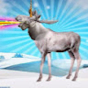 Meet your Posher, Cheyenne